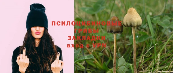 спиды Алзамай