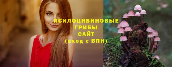 мескалин Алексин