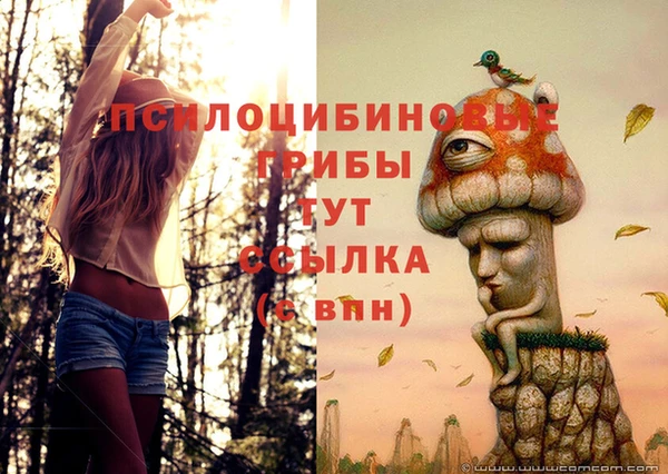 ALPHA PVP Нягань