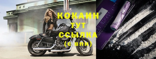 спиды Алзамай