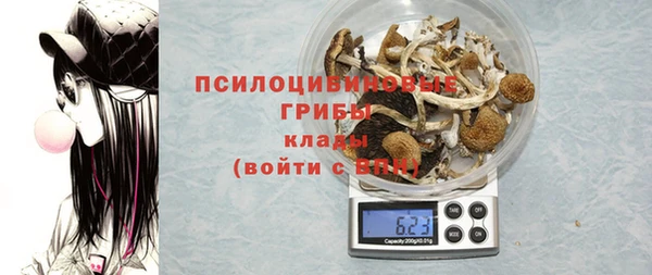 мескалин Алексин