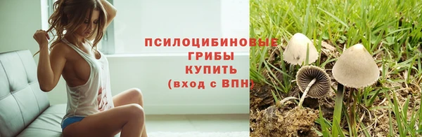 спиды Алзамай